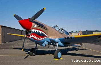 二战（战斧战机P-40）模型